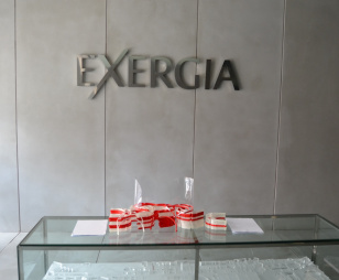Viseiras Exergia